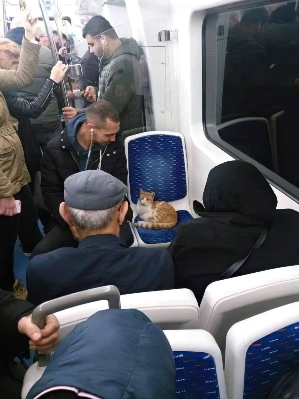 Gewoon een verzameling hilarische foto's #1821