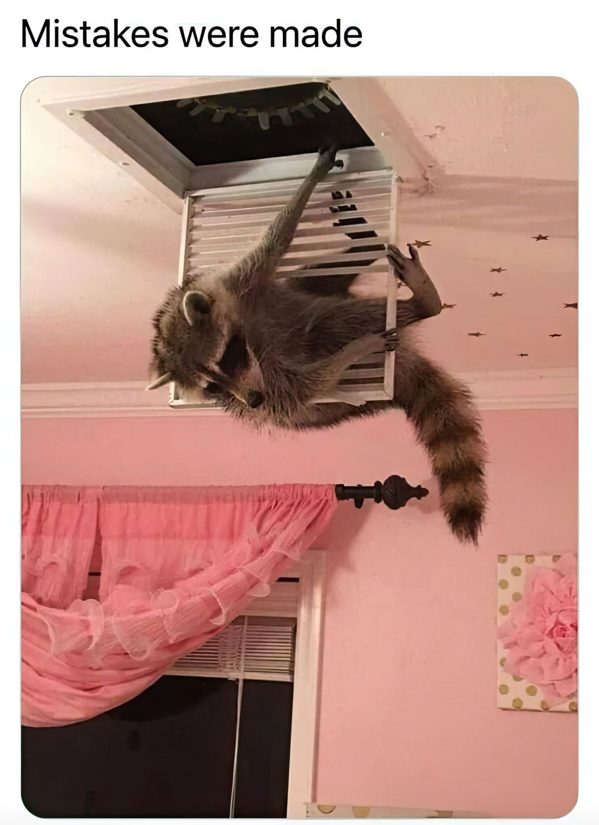 Gewoon een verzameling hilarische foto's #1823