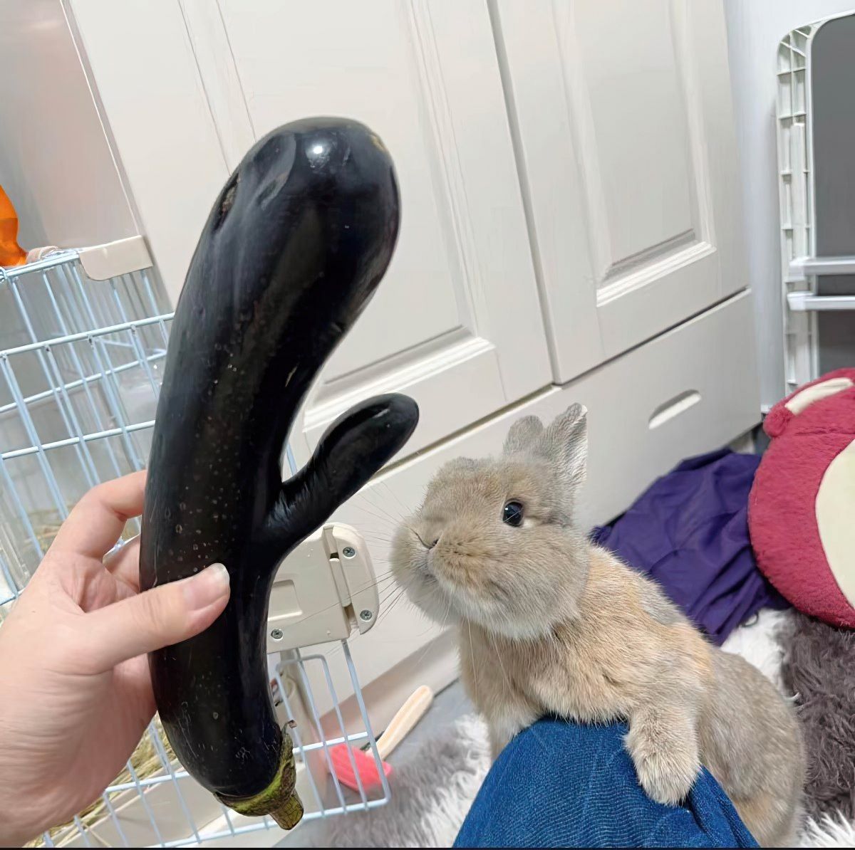 Gewoon een verzameling hilarische foto's #1823