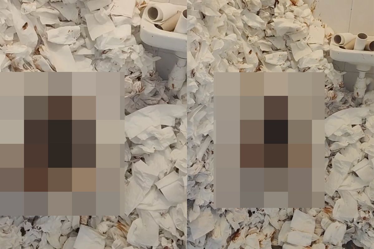 picture vk speciale schoonmaker treft troon van uitwerpselen en wc papier
