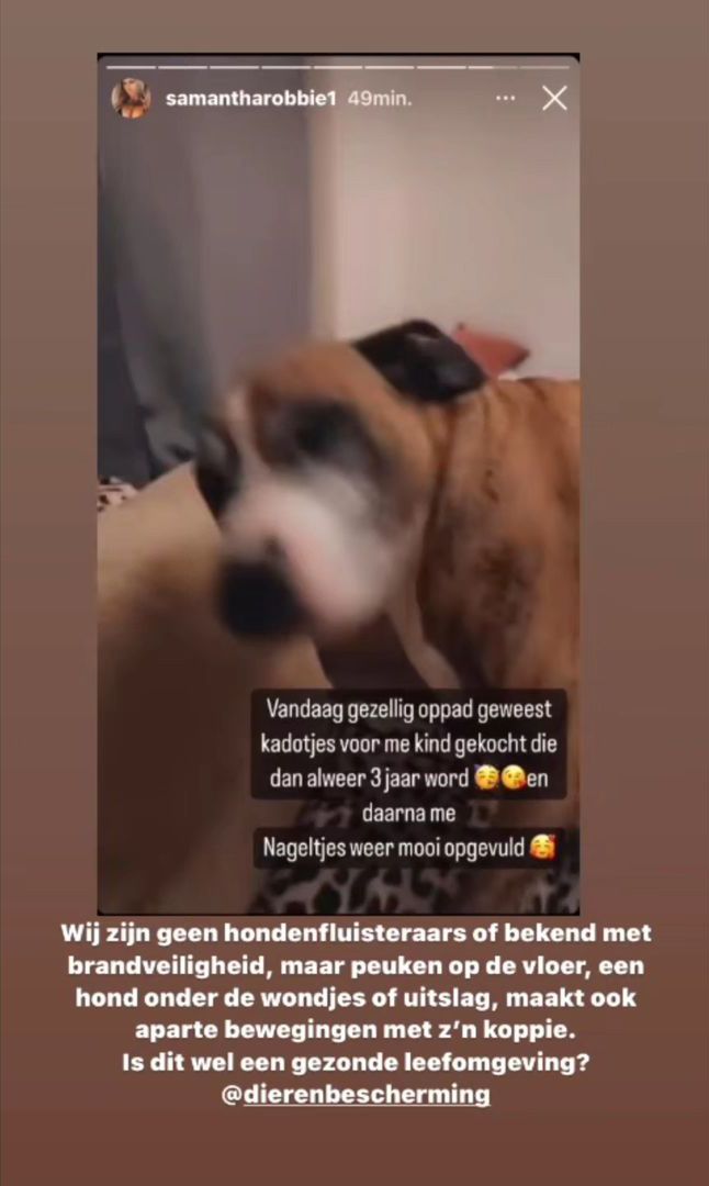 Toch wel zorgen hoe het gaat met de hond van Samantha de Jong aka Barbie