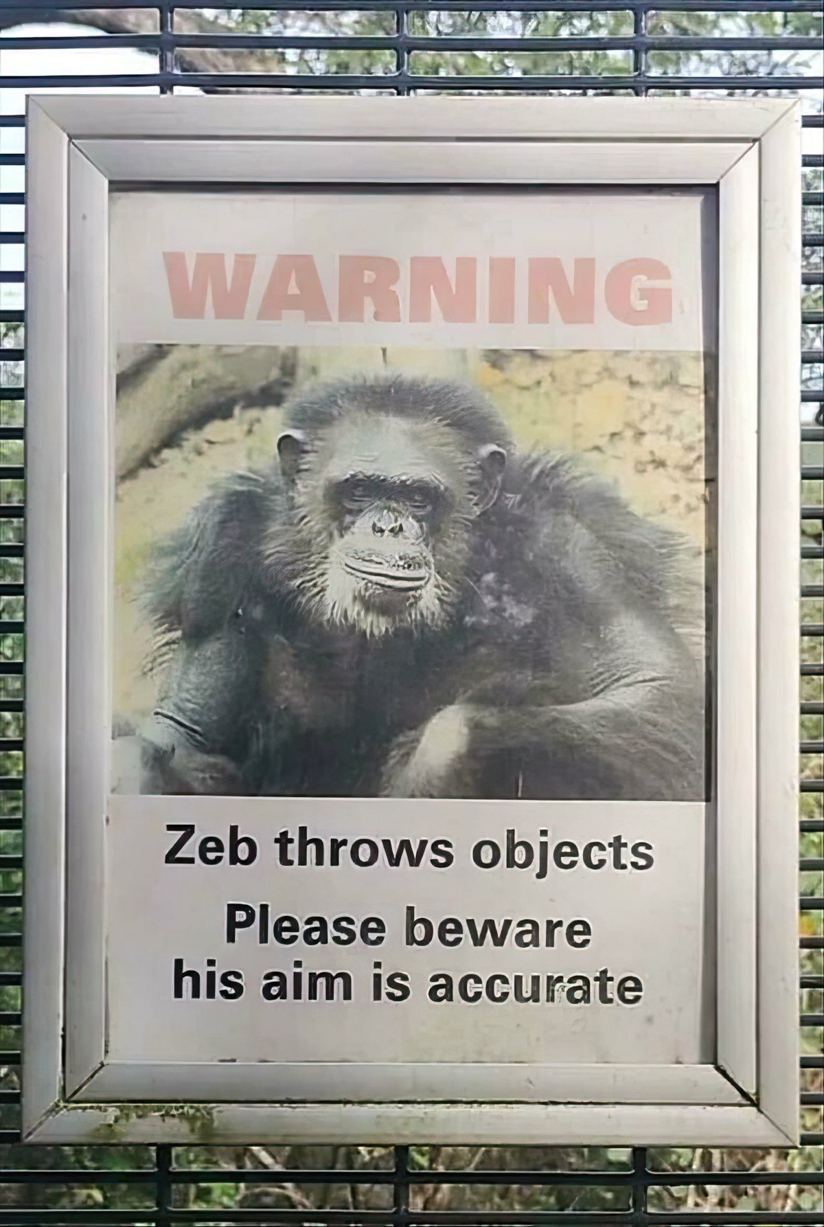 Gewoon een verzameling hilarische foto's #1829