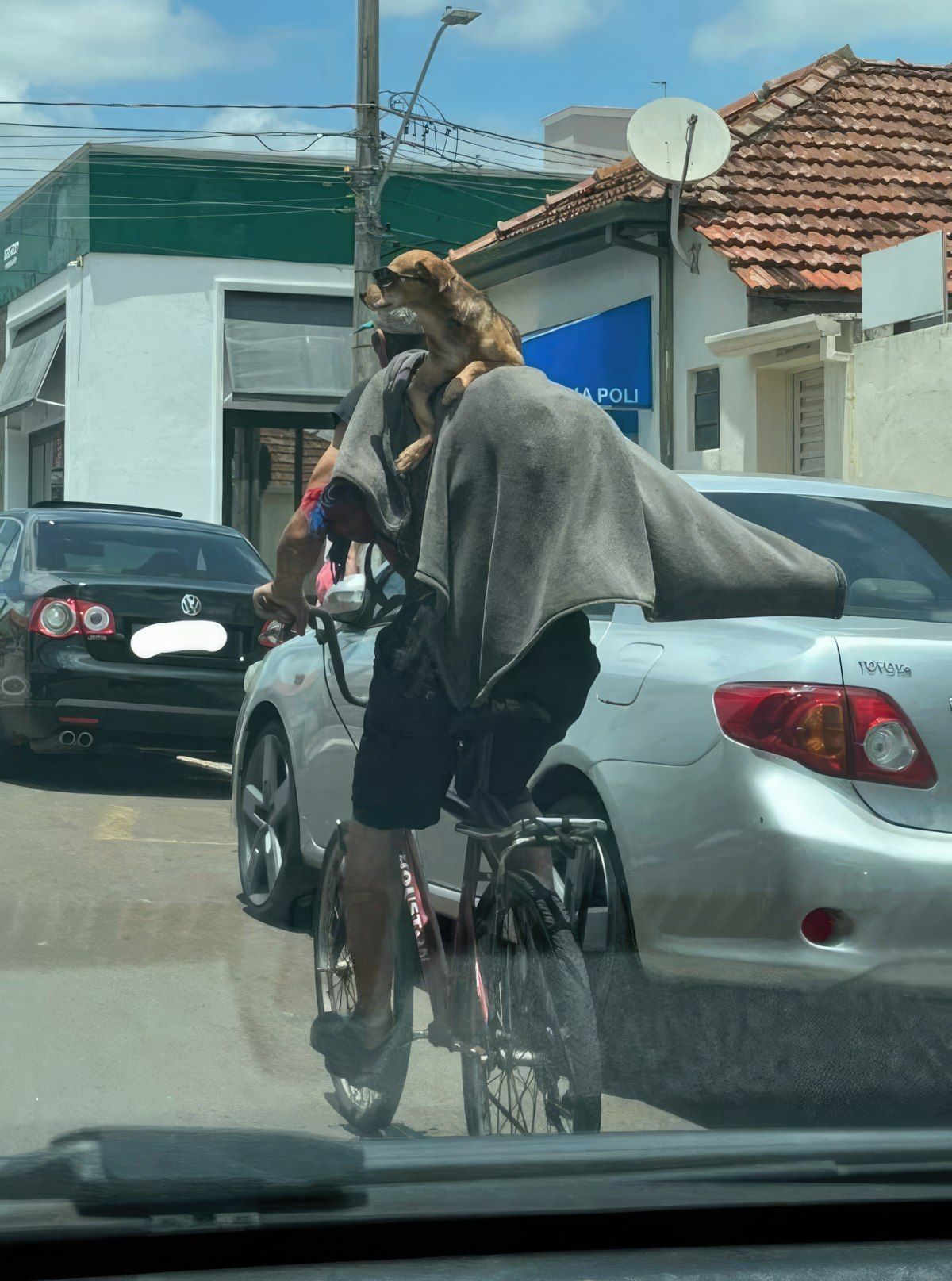 Gewoon een verzameling hilarische foto's #1830
