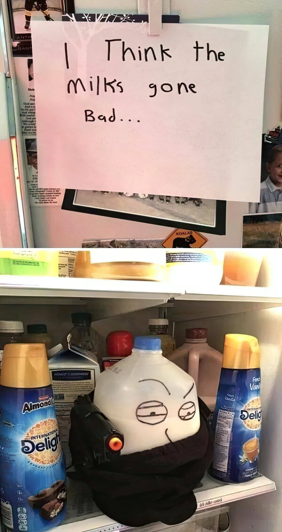 Gewoon een verzameling hilarische foto's #1831
