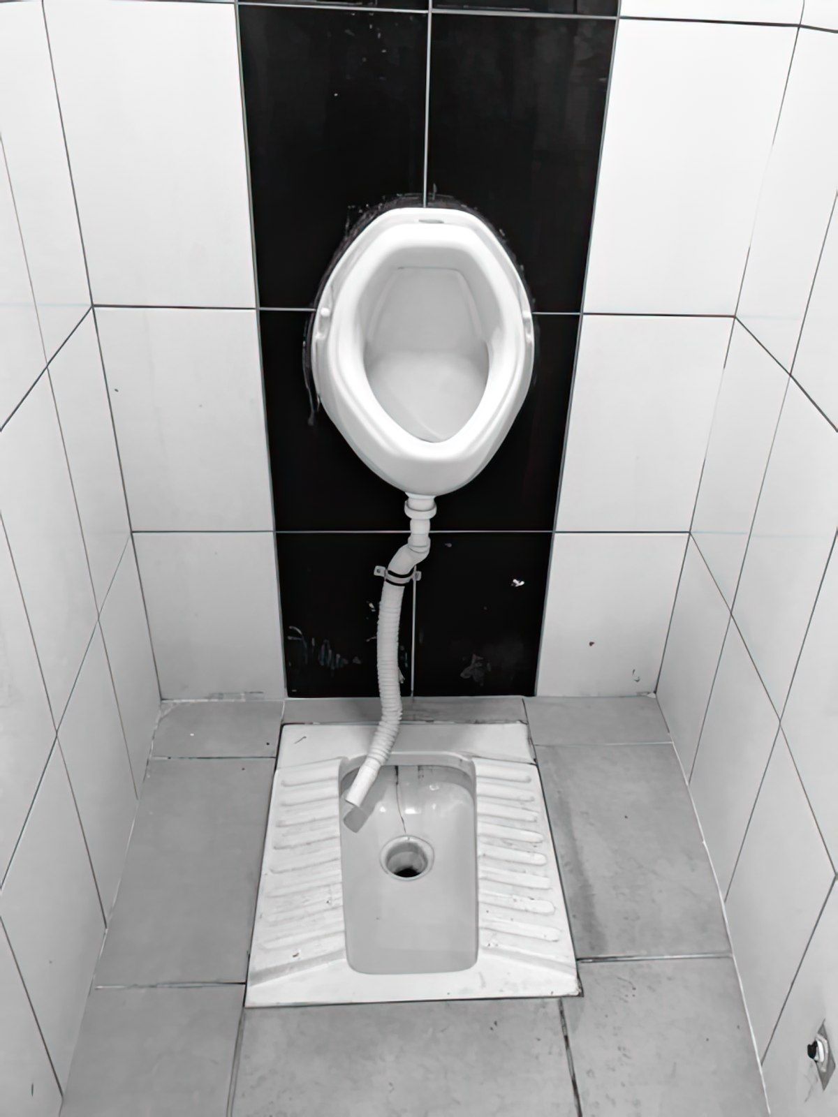 Gewoon een verzameling hilarische foto's #1831