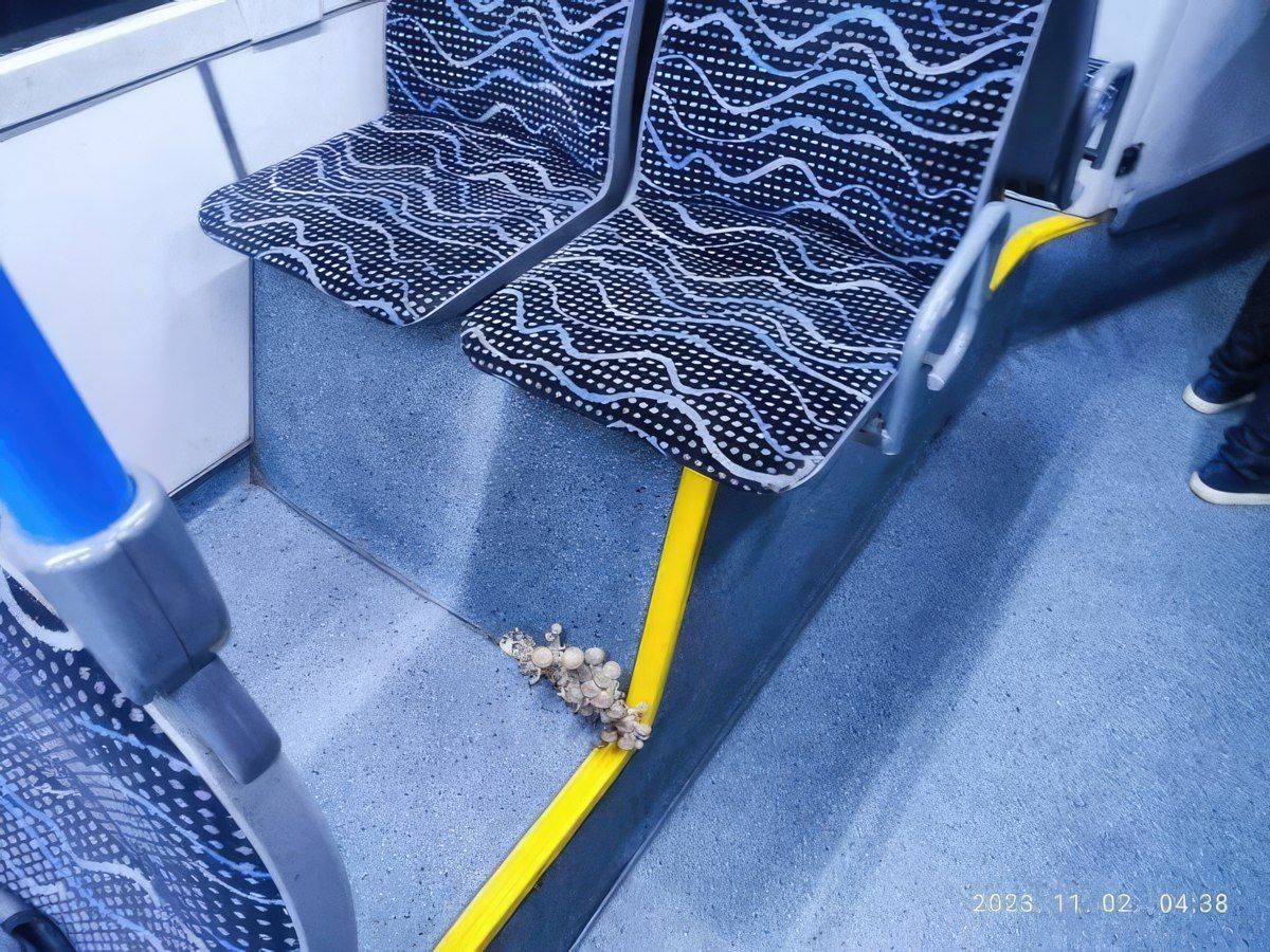 Gewoon een verzameling hilarische foto's #1832