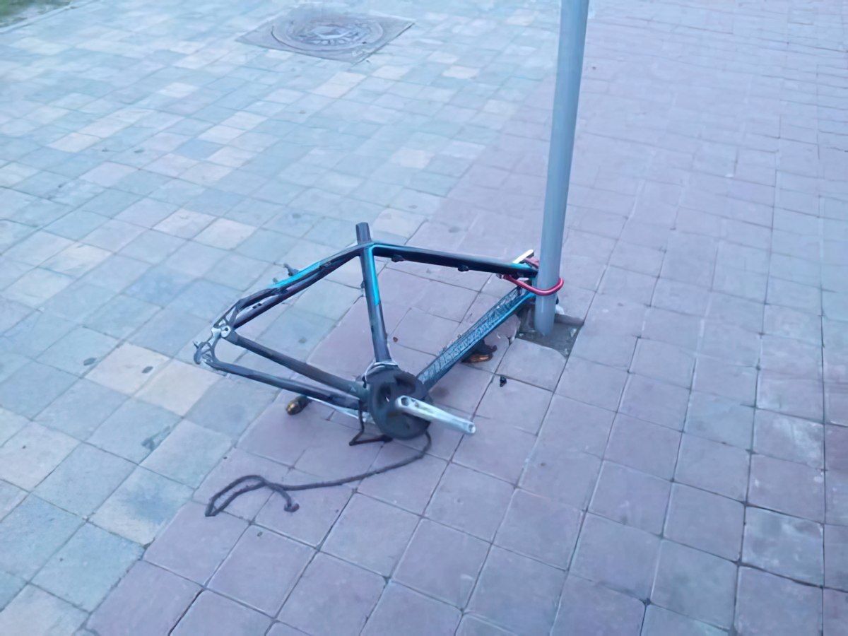 Gewoon een verzameling hilarische foto's #1835