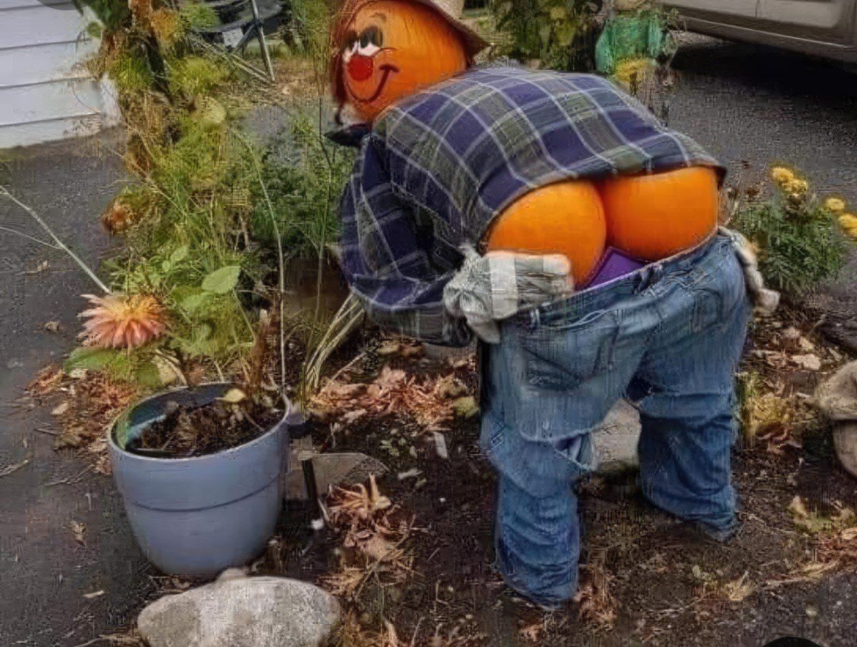 Gewoon een verzameling hilarische foto's #1835