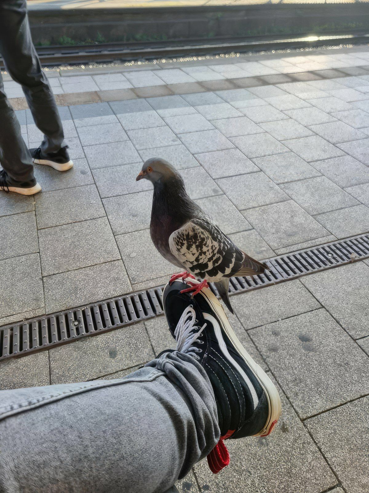 Gewoon een verzameling hilarische foto's #1837