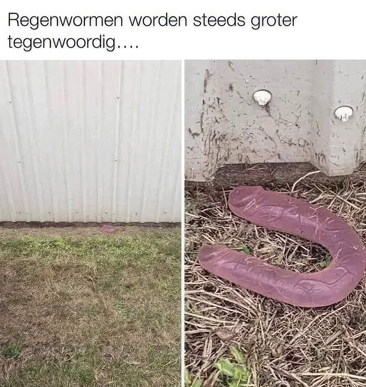 Gewoon een verzameling hilarische foto's #1837
