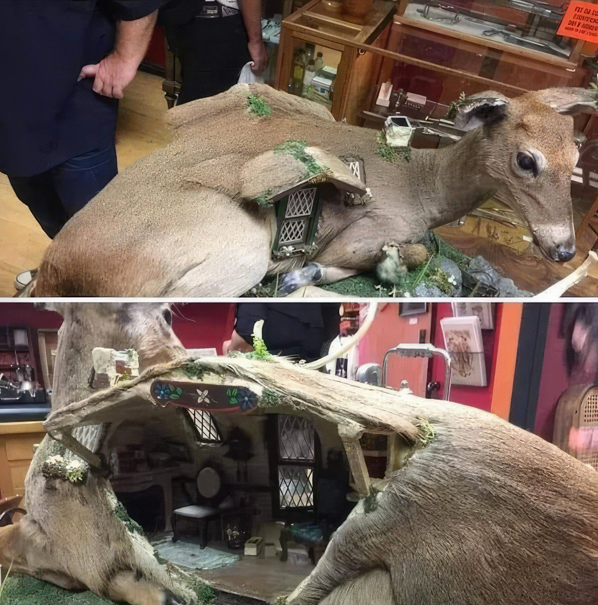 Gewoon een verzameling hilarische foto's #1839