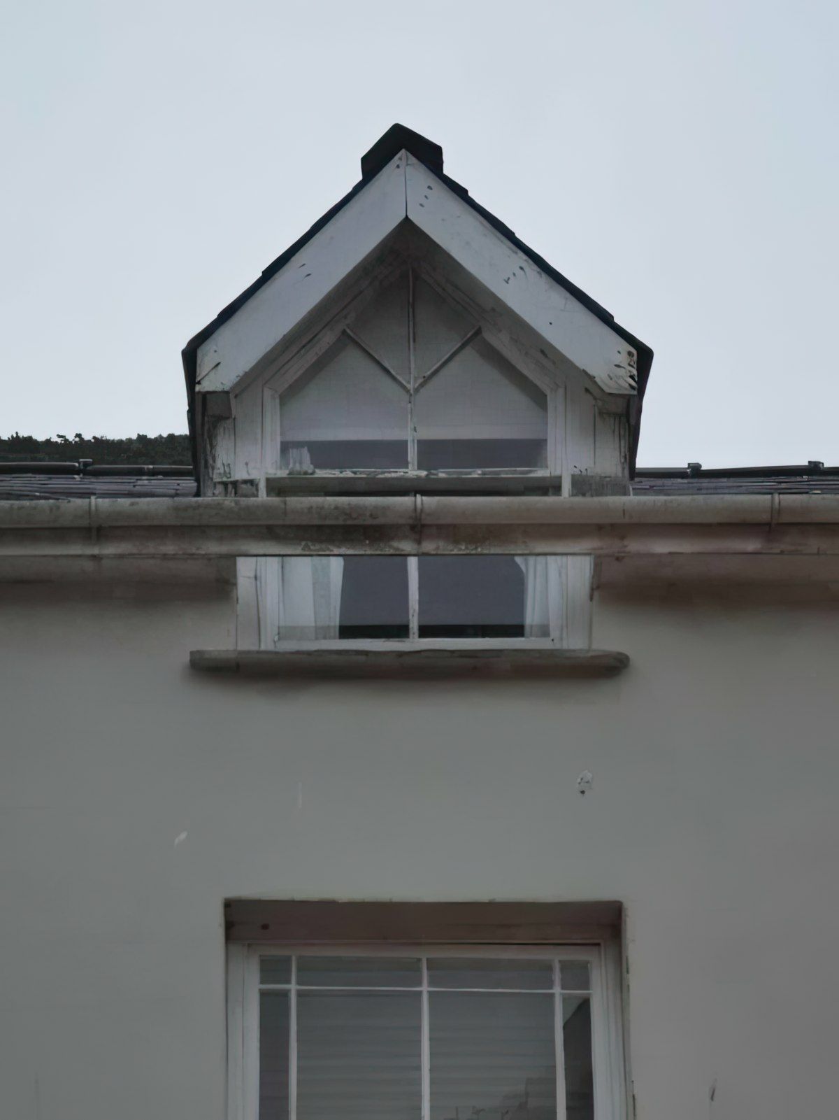 Gewoon een verzameling hilarische foto's #1839