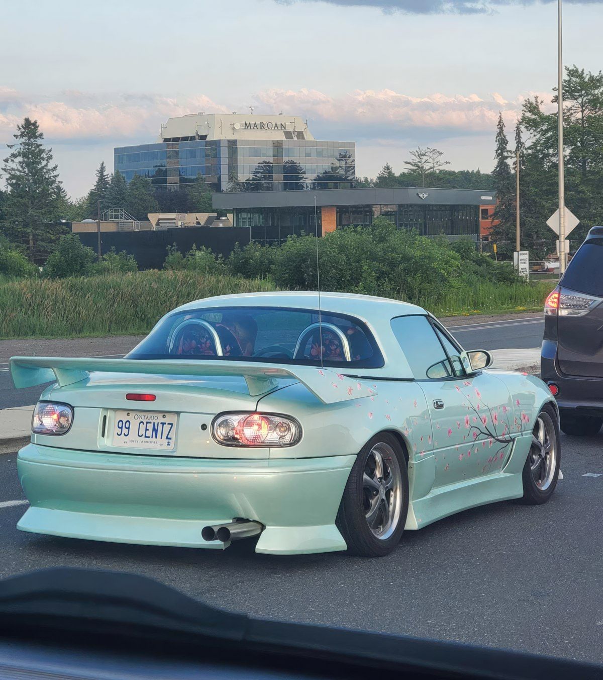 Gewoon een verzameling hilarische foto's #1839