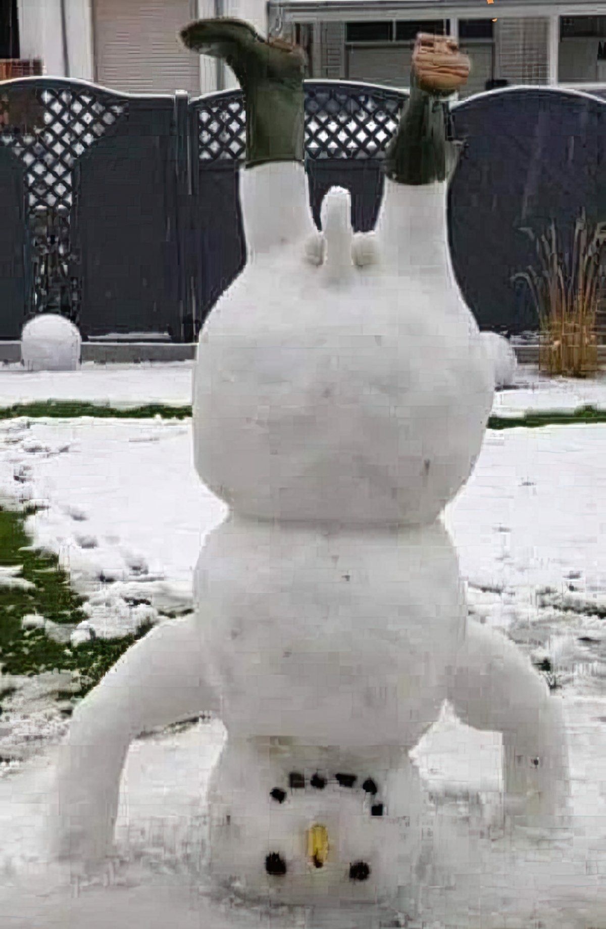 Gewoon een verzameling hilarische foto's #1839