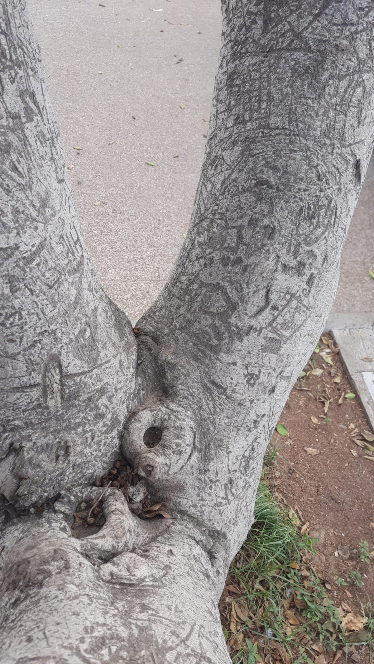 Gewoon een verzameling hilarische foto's #1840