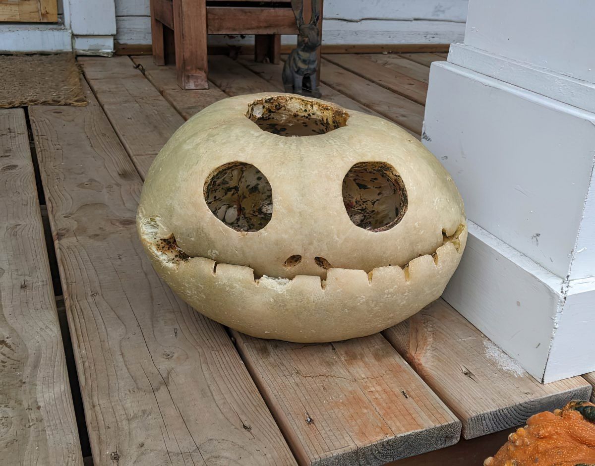 Gewoon een verzameling hilarische foto's #1840