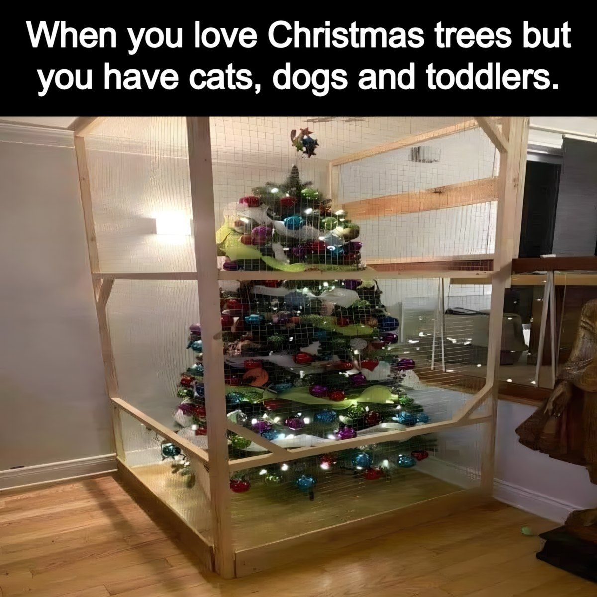 Gewoon een verzameling hilarische foto's #1841