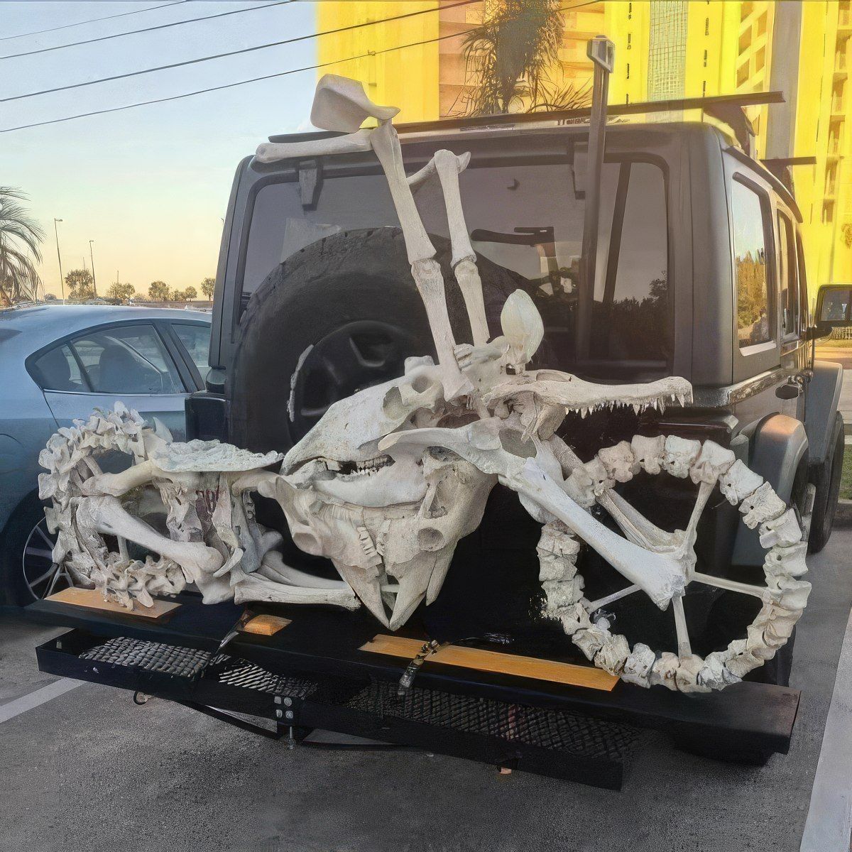 Gewoon een verzameling hilarische foto's #1841