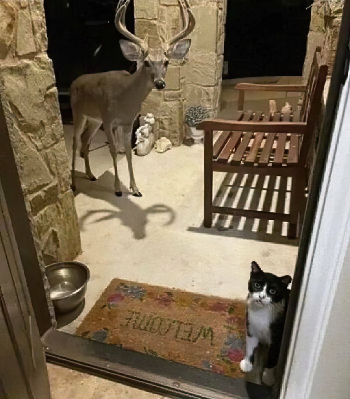 Gewoon een verzameling hilarische foto's #1841