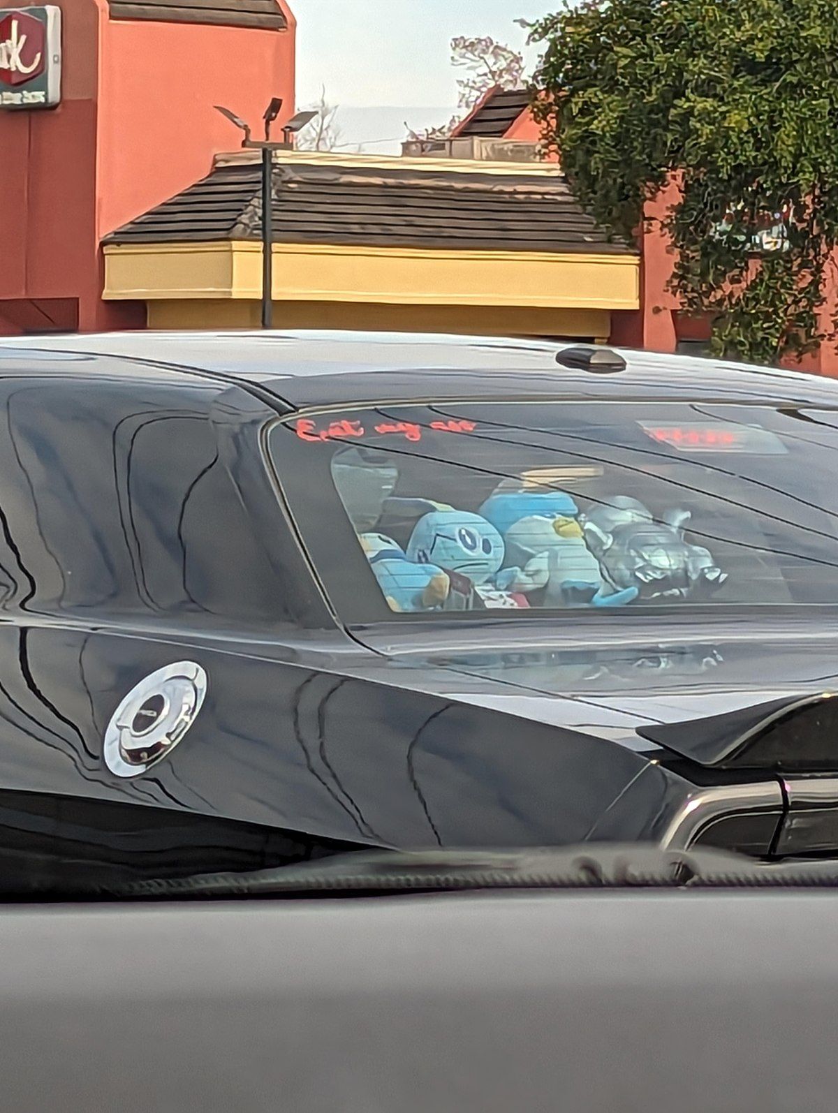 Gewoon een verzameling hilarische foto's #1841