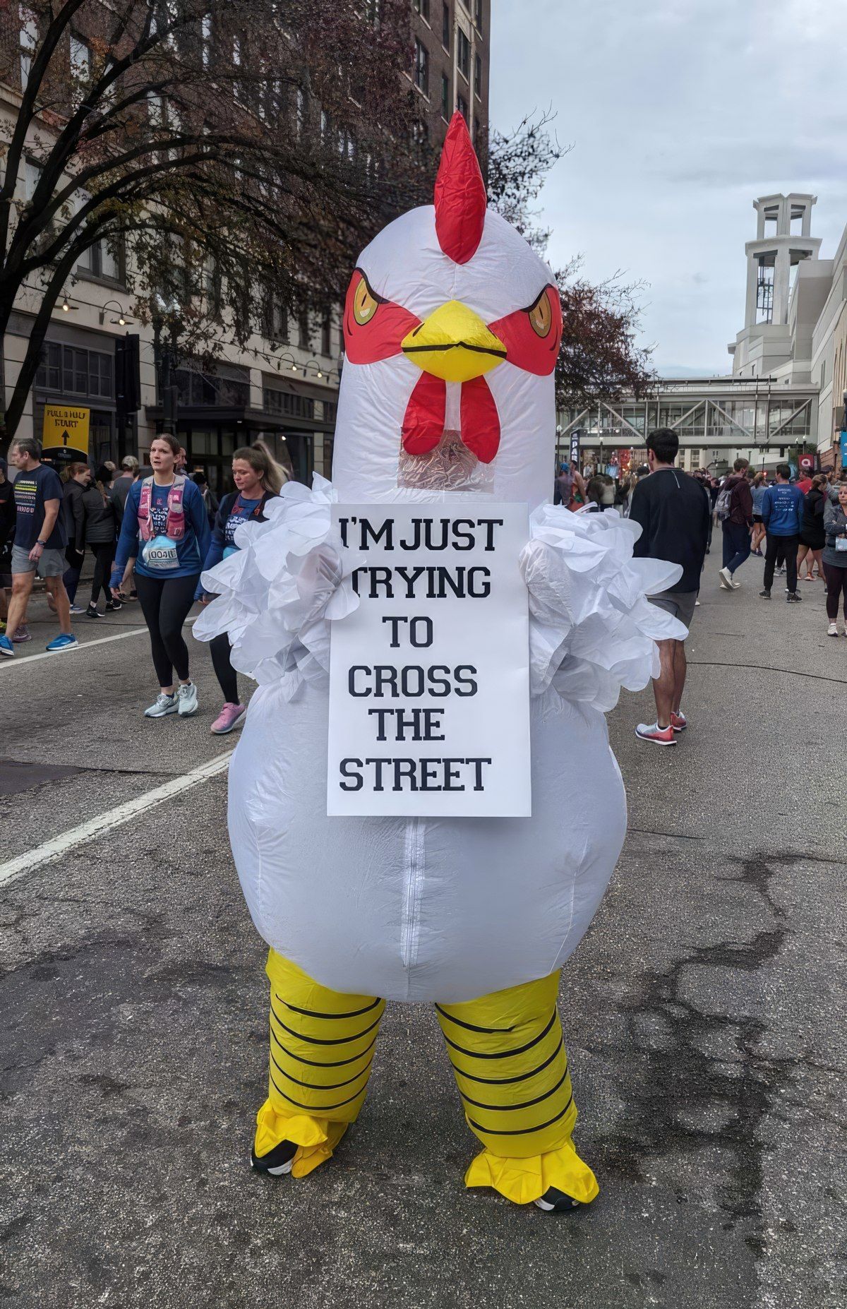 Gewoon een verzameling hilarische foto's #1841