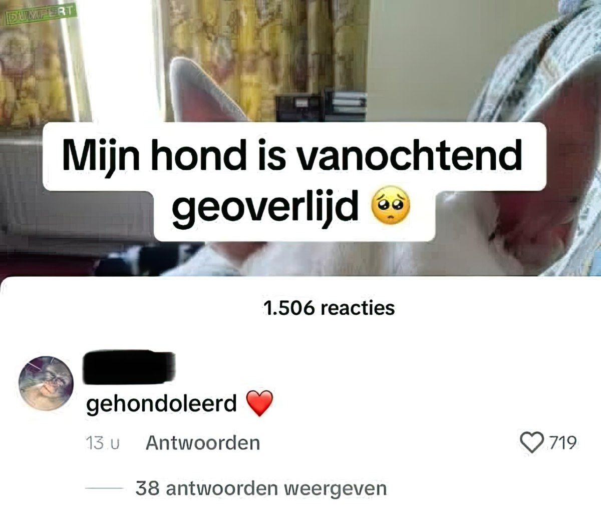 Gewoon een verzameling hilarische foto's #1841