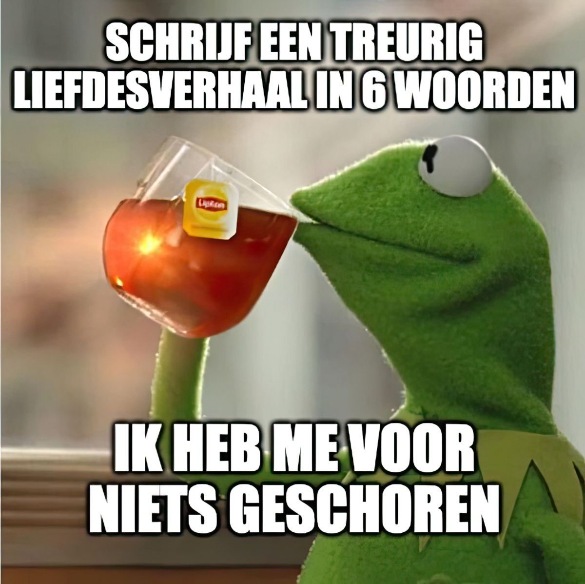 Gewoon een verzameling hilarische foto's #1841