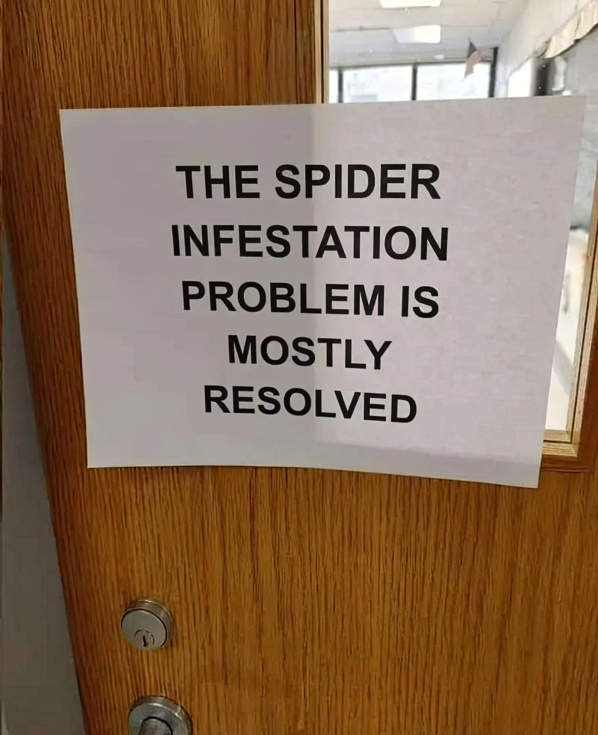 Gewoon een verzameling hilarische foto's #1841