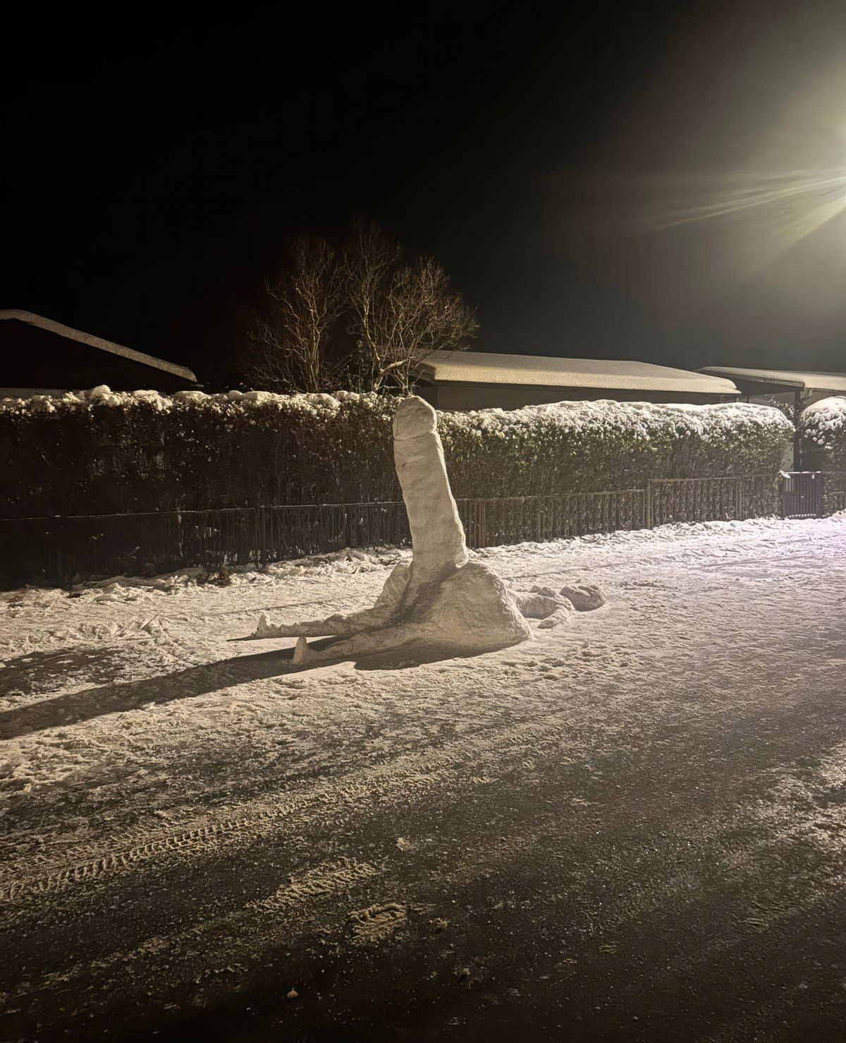 Gewoon een verzameling hilarische foto's #1841