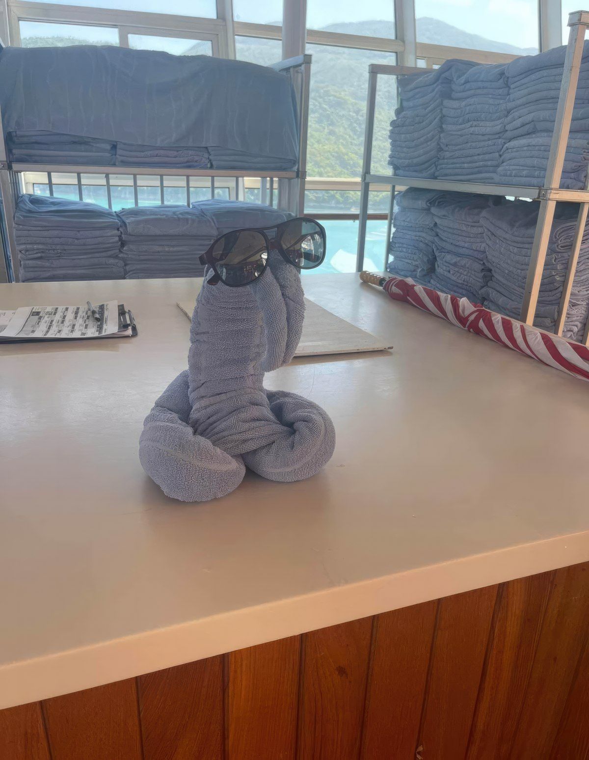 Gewoon een verzameling hilarische foto's #1841