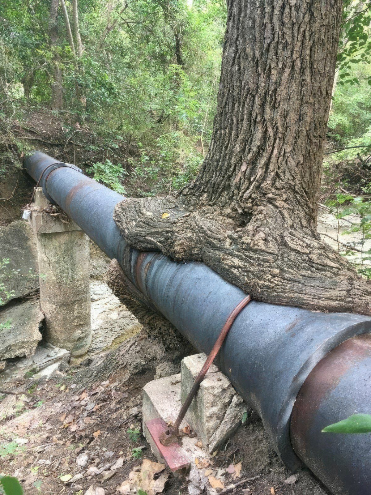 Gewoon een verzameling hilarische foto's #1842