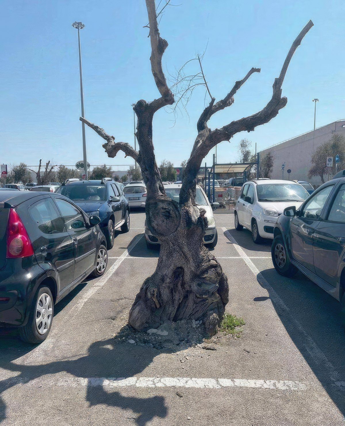 Gewoon een verzameling hilarische foto's #1842