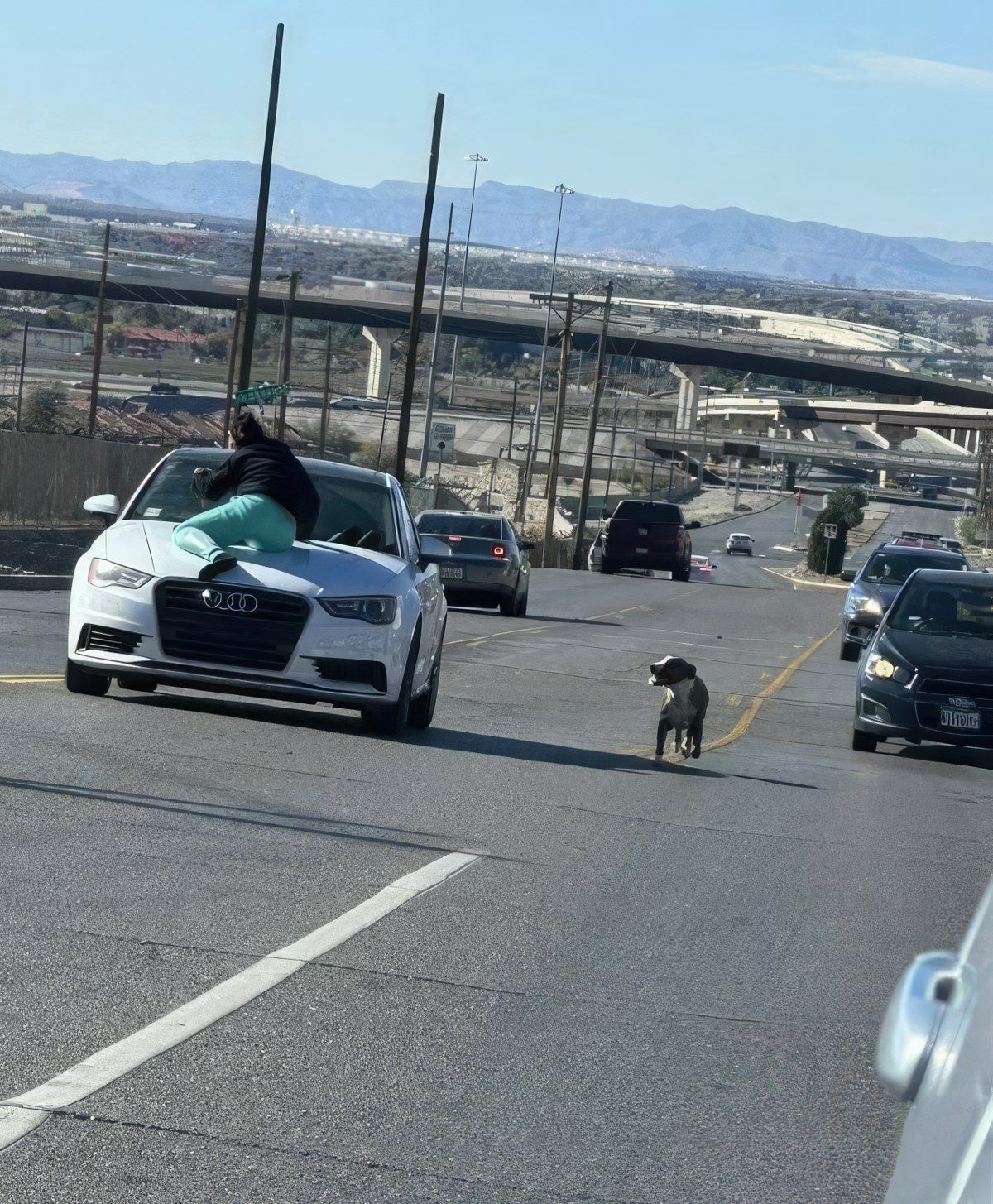 Gewoon een verzameling hilarische foto's #1842