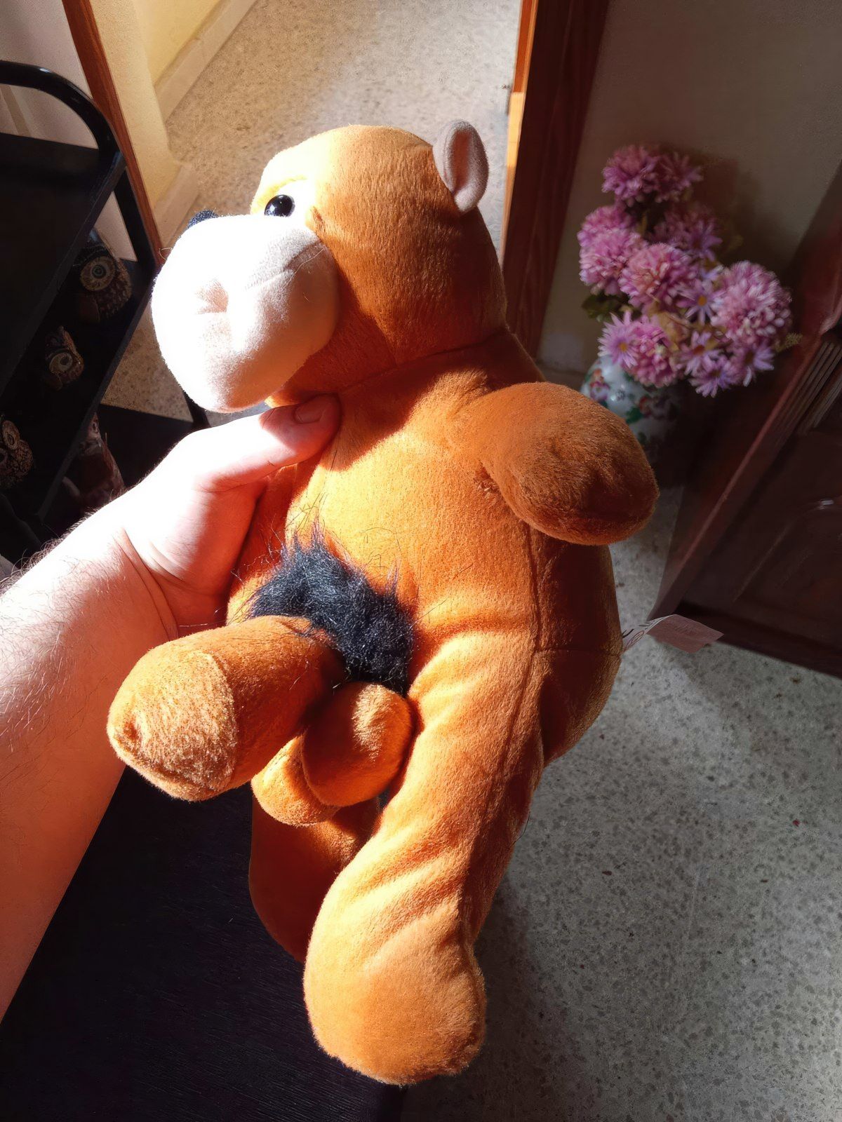 Gewoon een verzameling hilarische foto's #1842