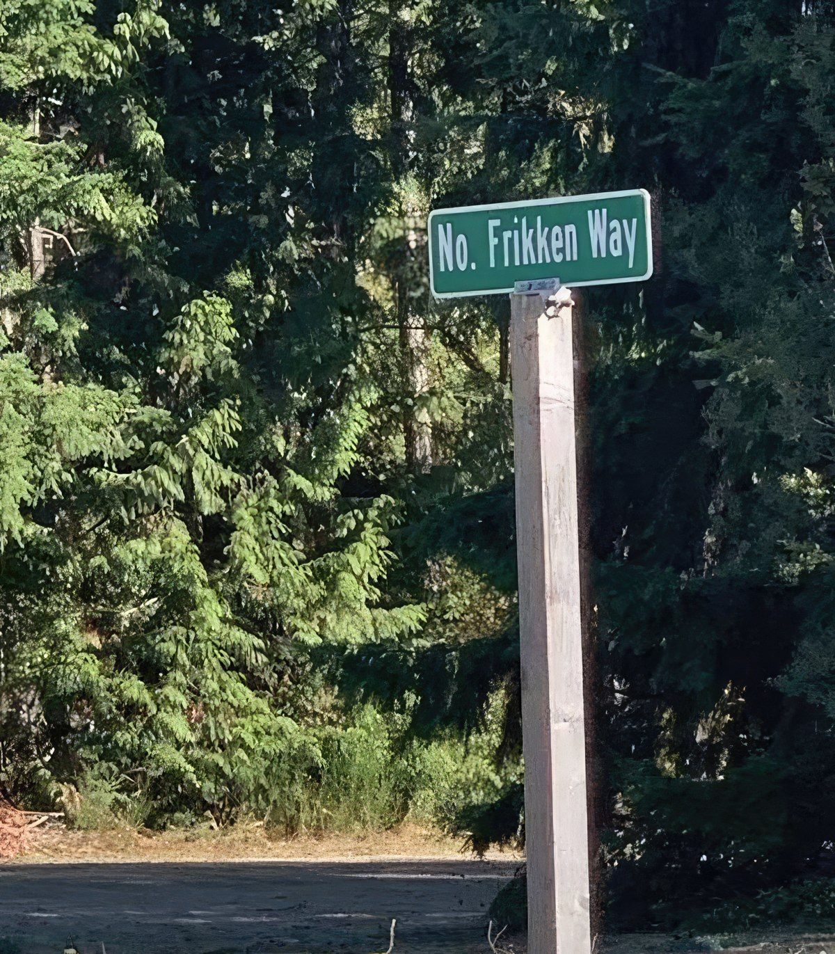 Gewoon een verzameling hilarische foto's #1842