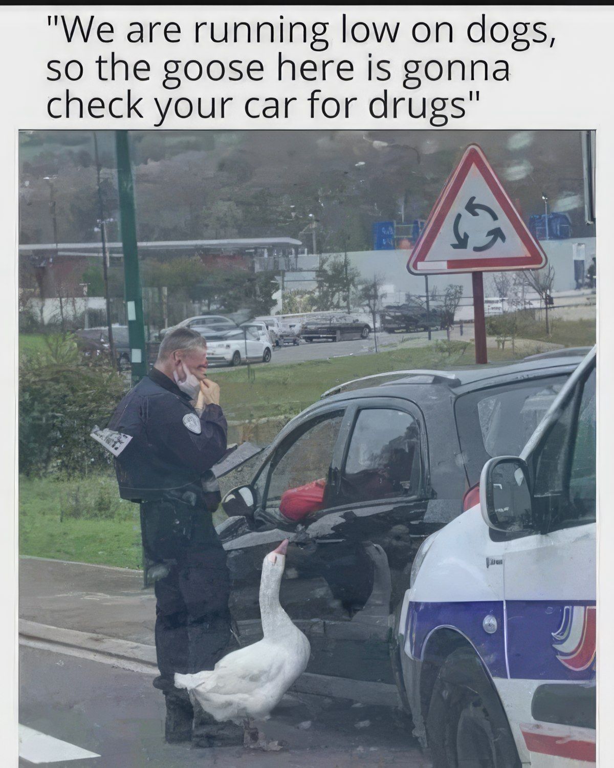 Gewoon een verzameling hilarische foto's #1843