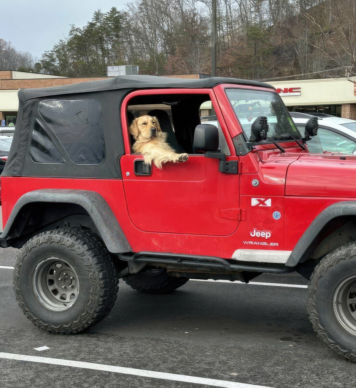 Gewoon een verzameling hilarische foto's #1843