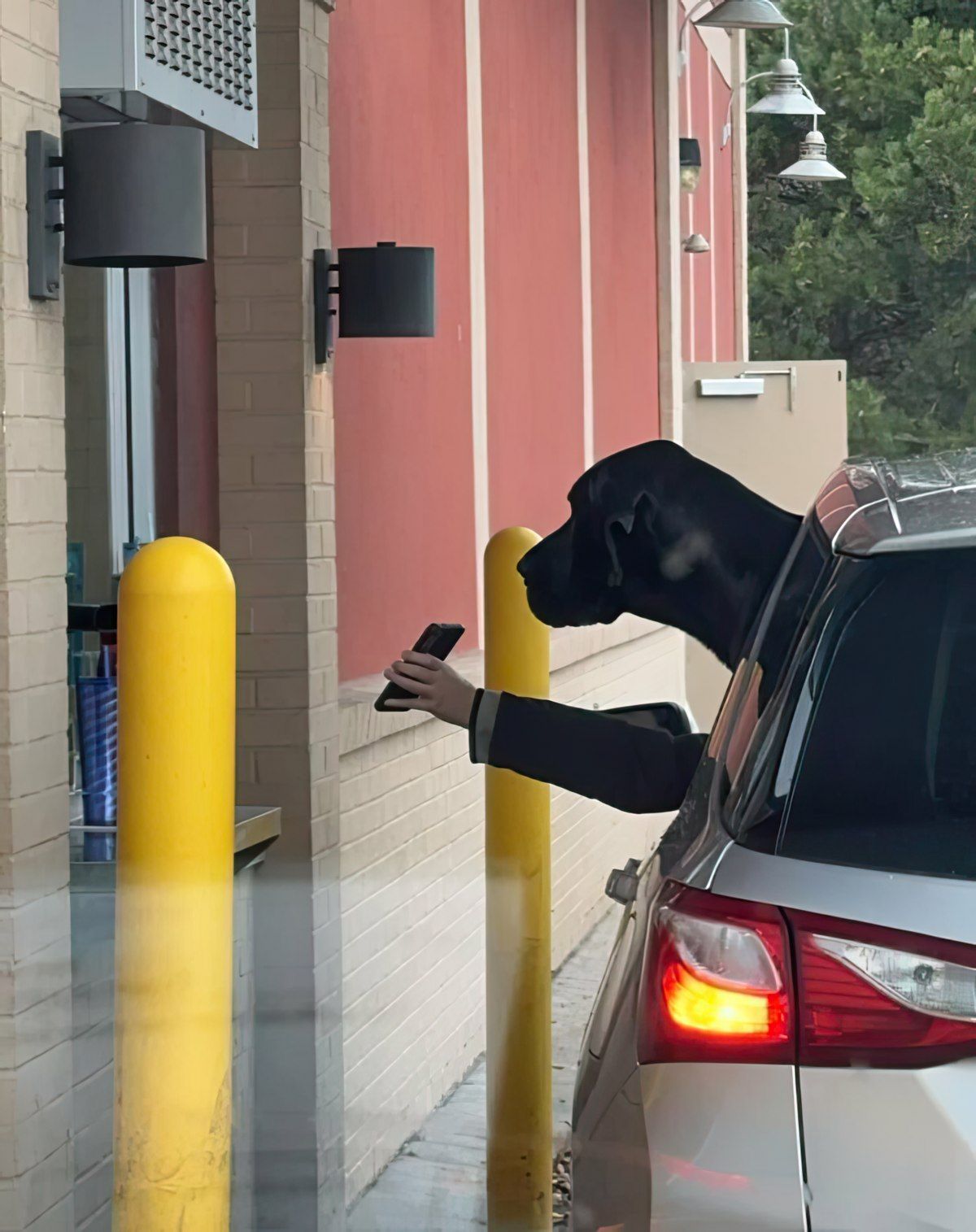 Gewoon een verzameling hilarische foto's #1843