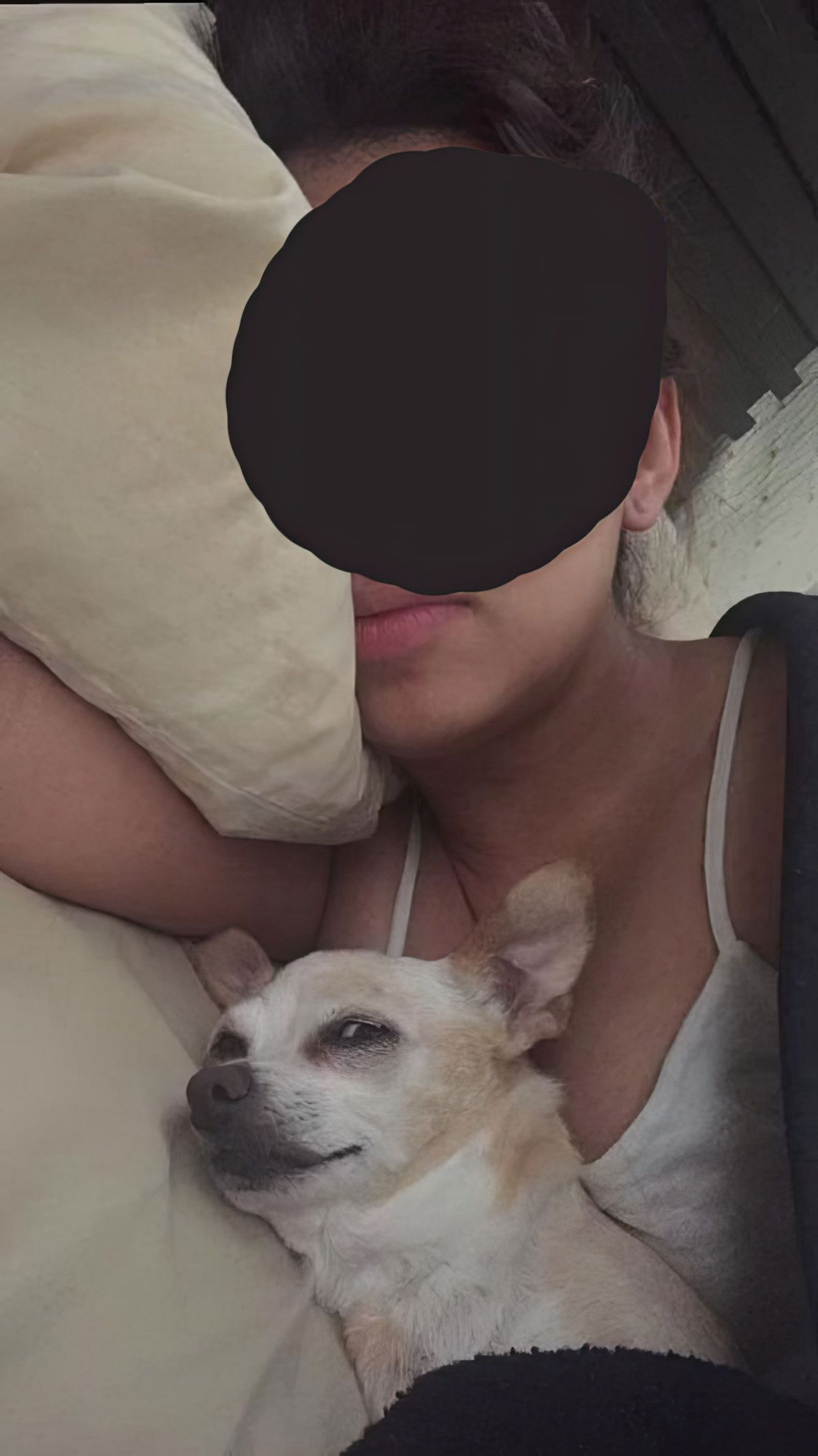 Gewoon een verzameling hilarische foto's #1843