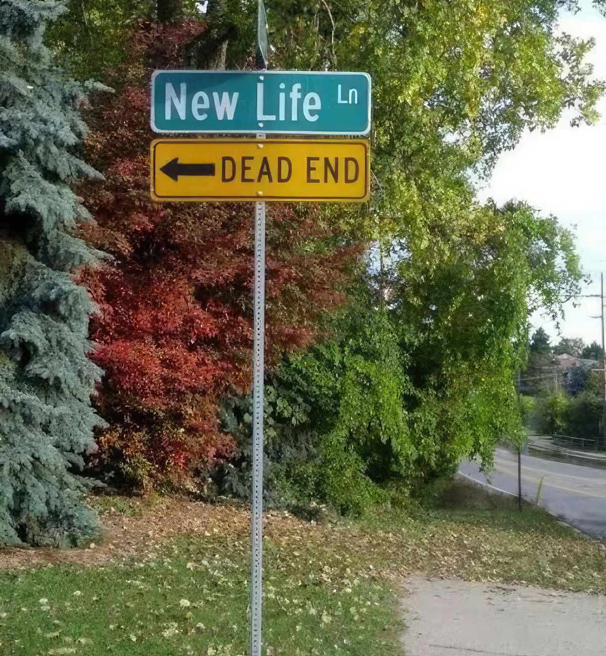 Gewoon een verzameling hilarische foto's #1843