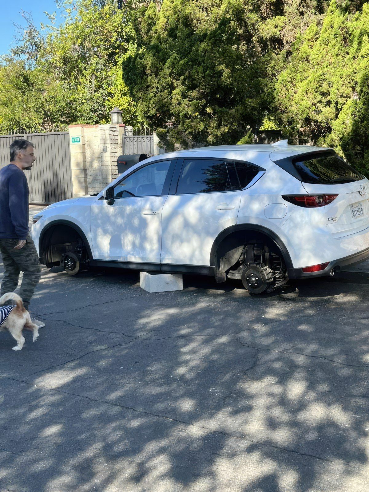 Gewoon een verzameling hilarische foto's #1844