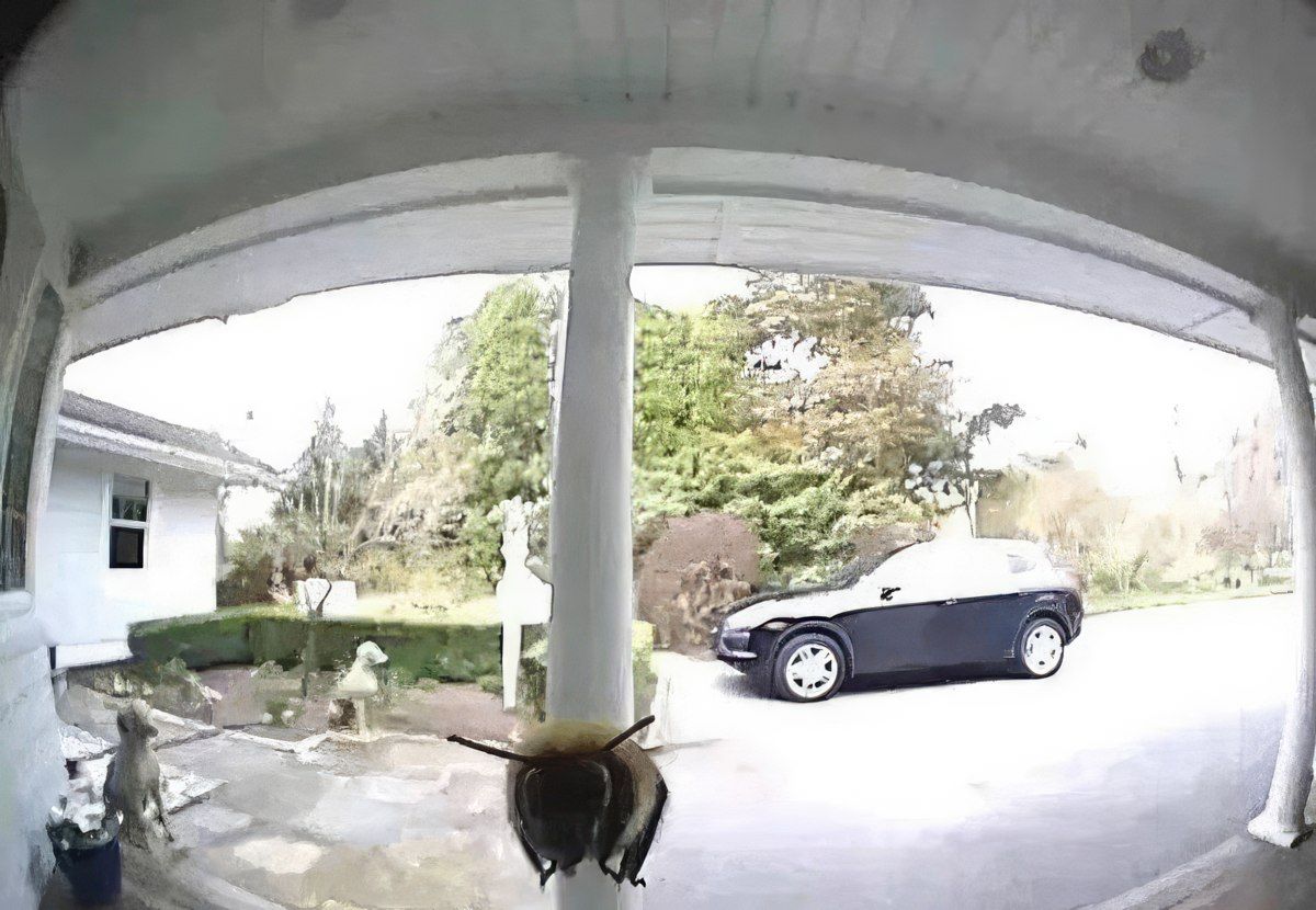 Gewoon een verzameling hilarische foto's #1844