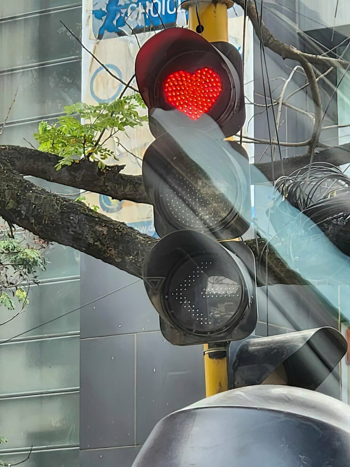 Gewoon een verzameling hilarische foto's #1845