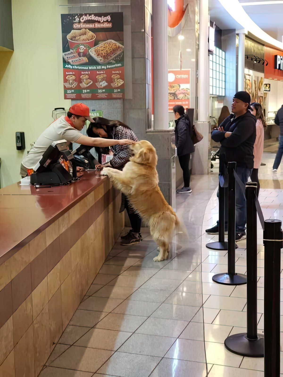 Gewoon een verzameling hilarische foto's #1845