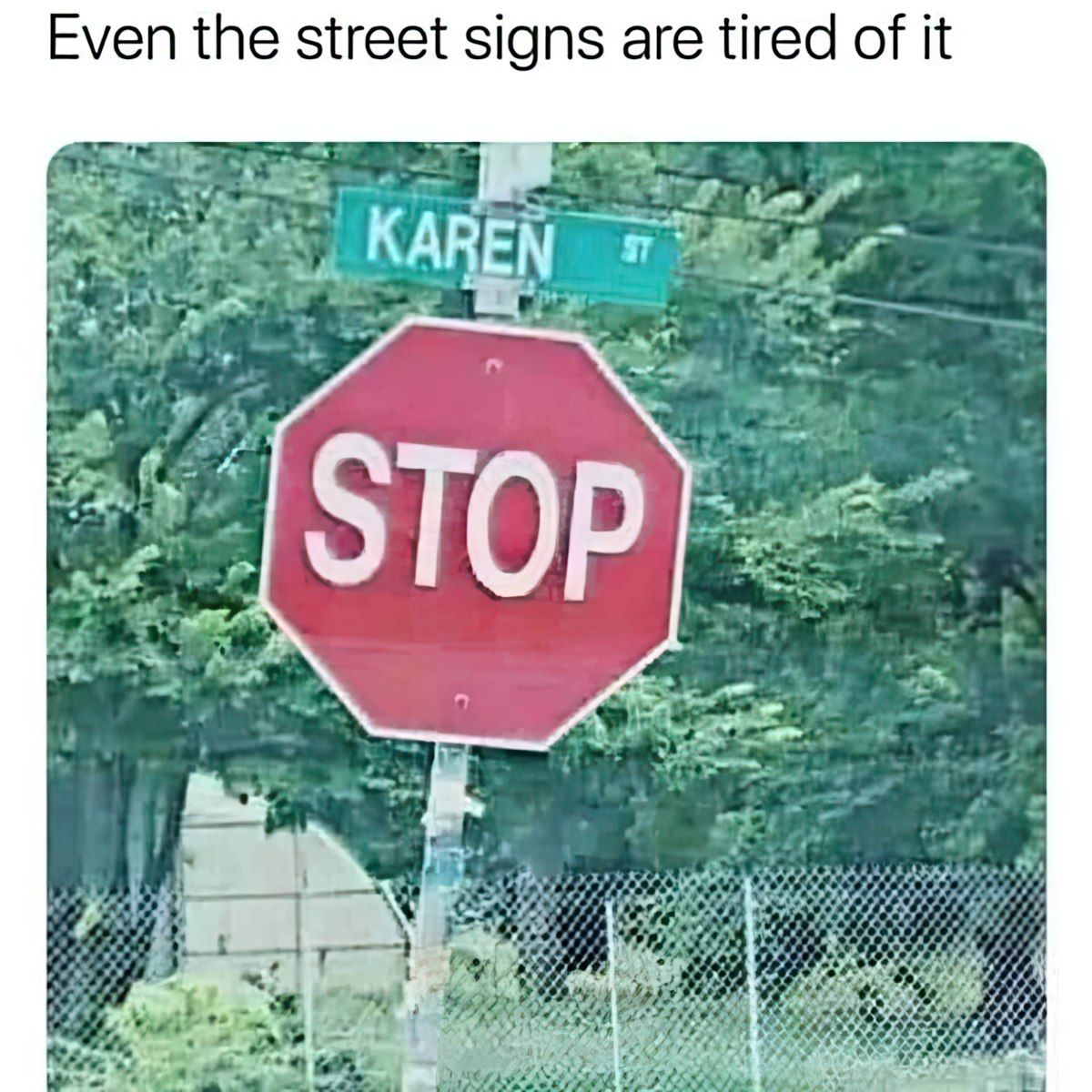 Gewoon een verzameling hilarische foto's #1845