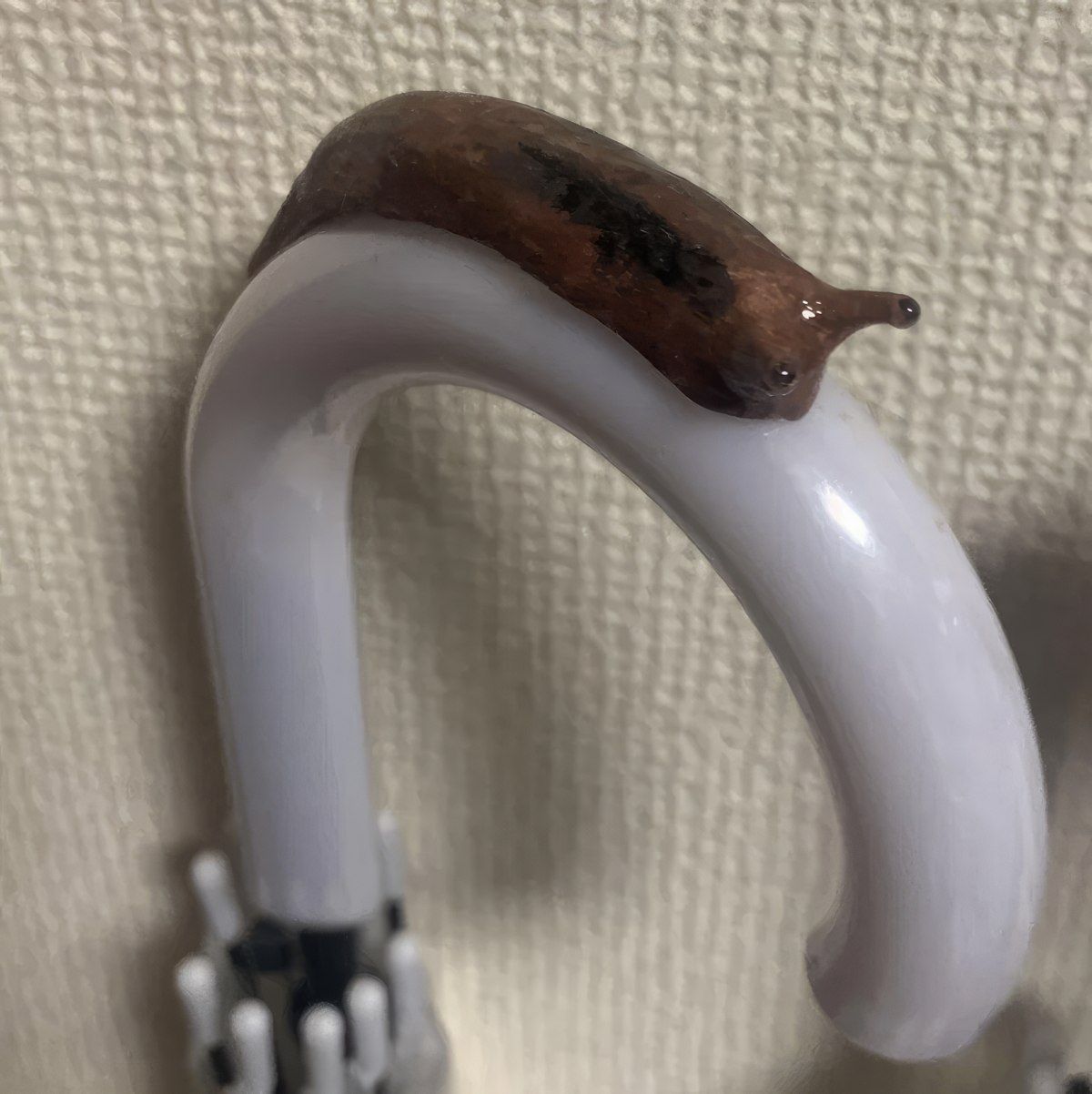 Gewoon een verzameling hilarische foto's #1846