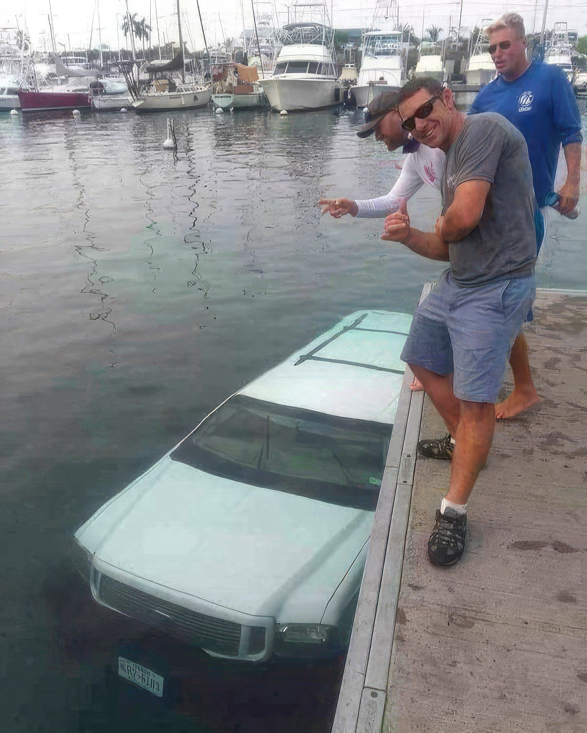 Gewoon een verzameling hilarische foto's #1846