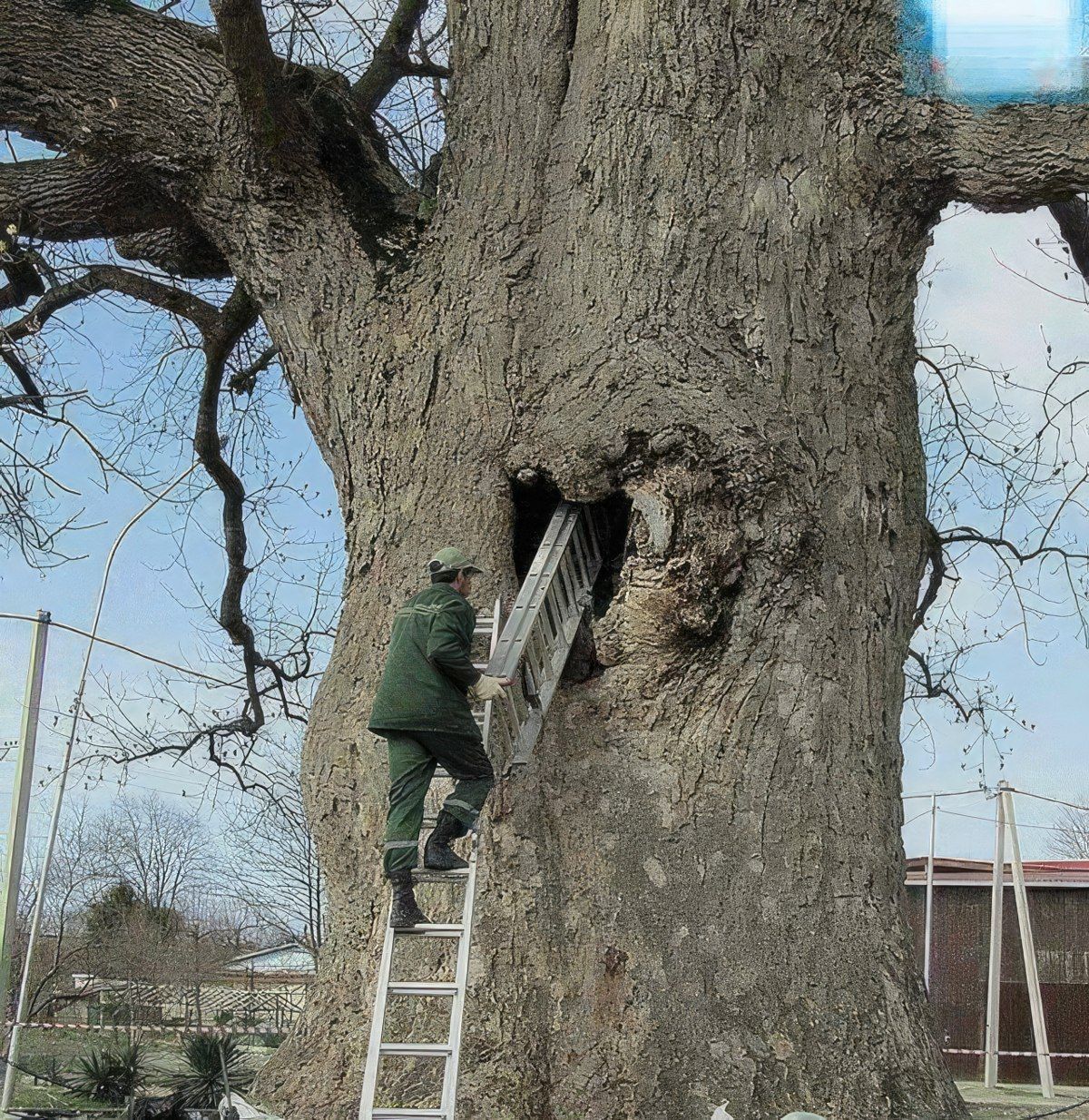 Gewoon een verzameling hilarische foto's #1846