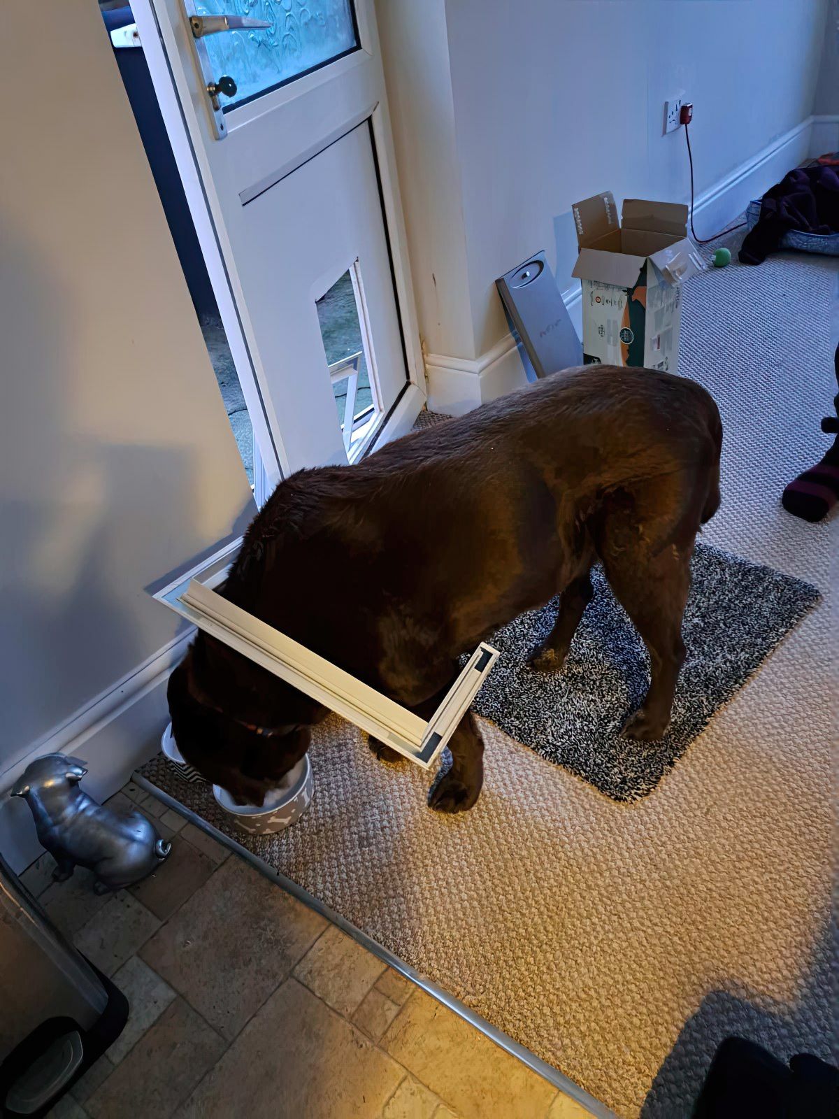 Gewoon een verzameling hilarische foto's #1846