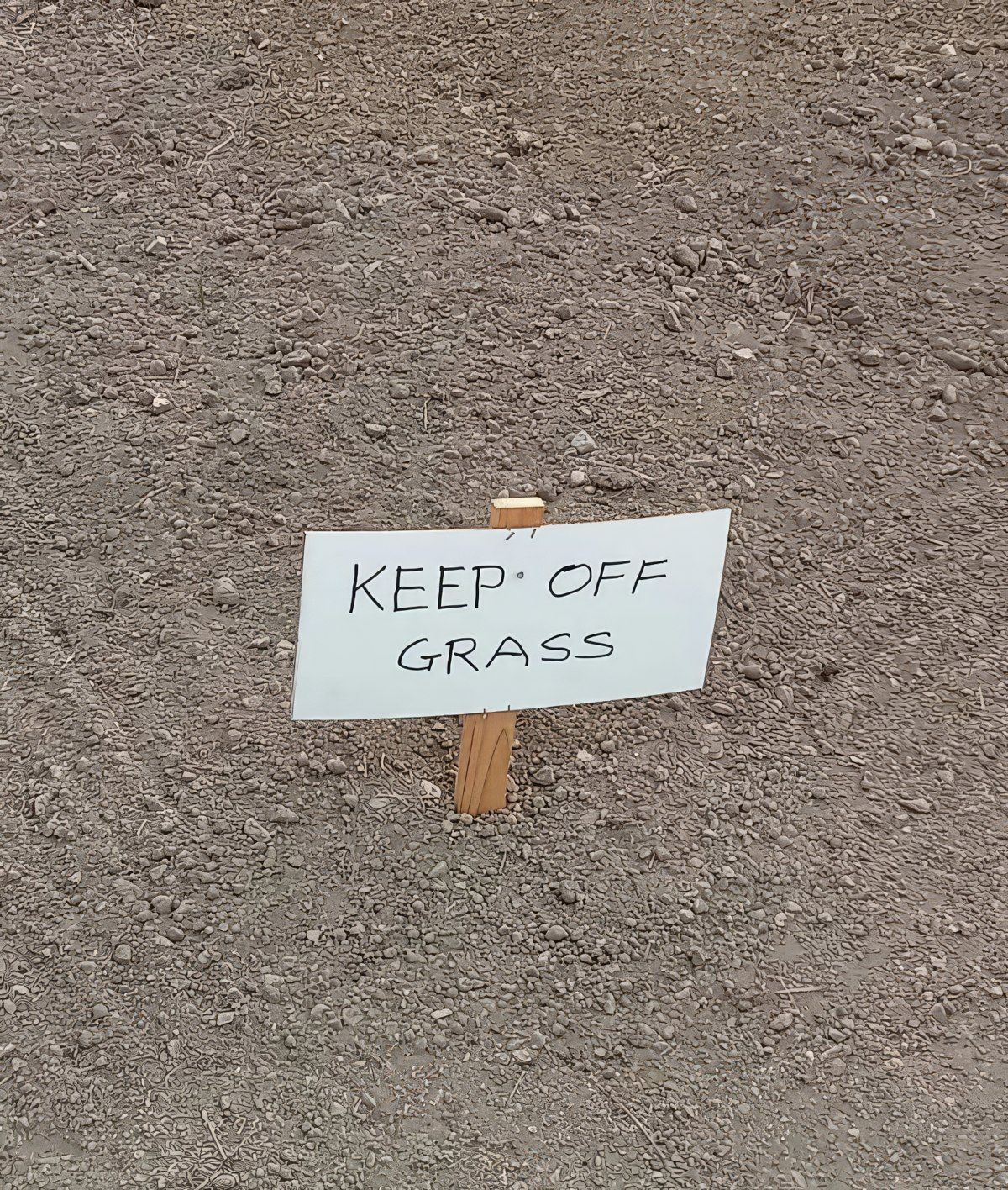 Gewoon een verzameling hilarische foto's #1846